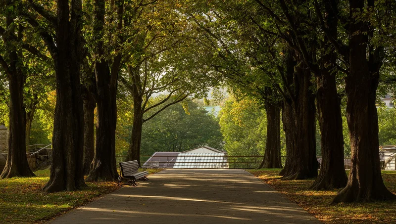 Leafy Neighbourhood Park